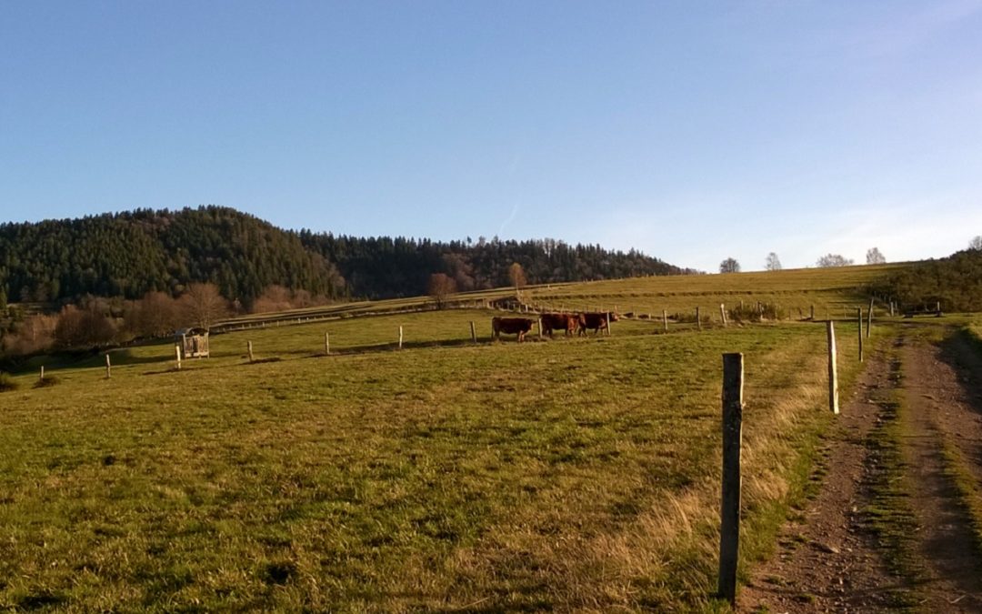 Spaziergang zum Château de la Roche